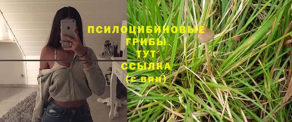 таблы Зерноград