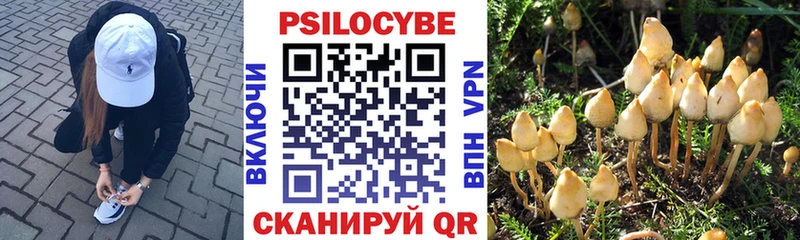 Галлюциногенные грибы MAGIC MUSHROOMS  цена наркотик  Кремёнки 